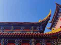 -东莞市大岭山森林公园