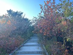 -北京西山国家森林公园