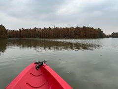 -上海海湾国家森林公园