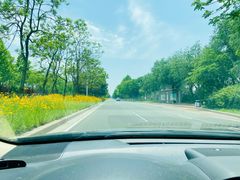 -日照海滨国家森林公园