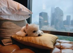 -茉莉智慧母婴护理中心(瑰丽店)