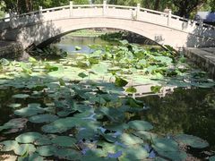 -北陵公园