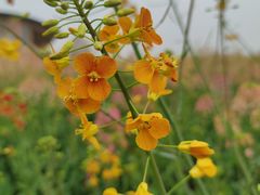 -中国天府农业博览园