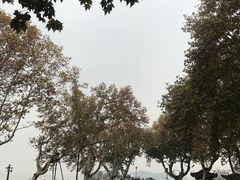 -杭州黄龙洞