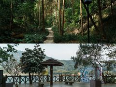 -广州市流溪河国家森林公园