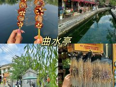 -老板恋上鱼(印象城店)