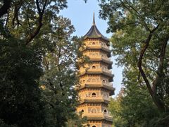 -灵谷景区