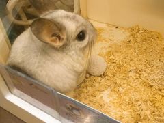 -龙猫仔乐园(惠福东路店)