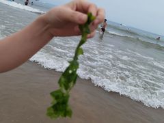 -青岛石老人海水浴场