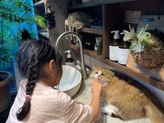 -自由生长植物工作室(深港花卉中心店)