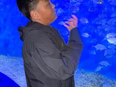 -波塞冬海底世界