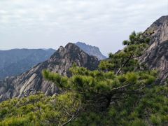 -黄山风景区