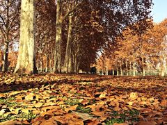 iphone_upload_pic-河南省黄河迎宾馆