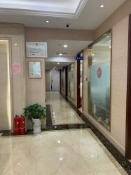 -碧莲盛·不剃发植发