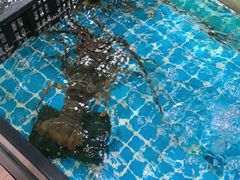 -王记新汕头肠粉炖汤
