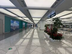 -青岛胶东国际机场