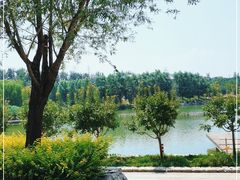 -马家湾湿地公园