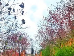 -大渡口区义渡公园