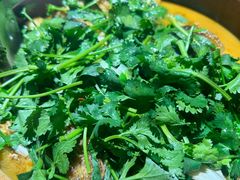 -九道菜有鸡鱼头(石鼓路店)