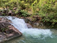 -广州白江湖森林公园