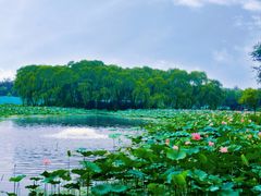-东郊湿地公园