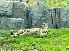 -北京野生动物园