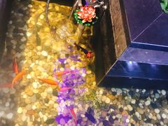 -碧露轩·大益茶体验馆(镇江路店)