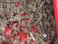 -霞涌市场海鲜摆卖区