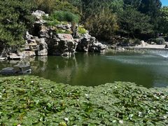 -香山公园