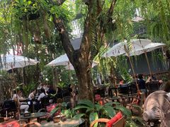 -Fern Forest Cafe