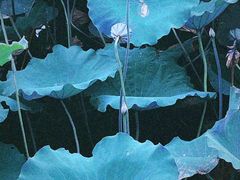 -荔湾湖公园