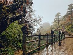 -峨眉山风景名胜区