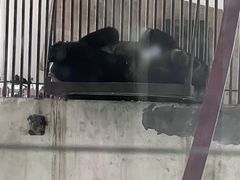 -太原动物园