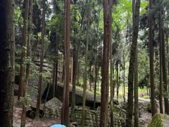 -梭布垭石林景区