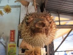 -大澳