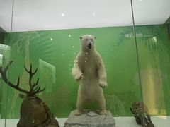 -国家自然博物馆