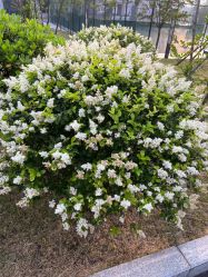 -伽玥瑜伽·普拉提馆