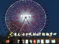-摩天活力城·摩天轮