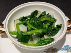 百合炒豆尖-润苑·悦椿轩(徐汇万科中心一期店)