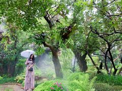 -Chom Cafe and Restaurant