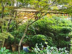 -阳光山水江湖菜馆(西山龙门店)