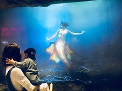 -烟台海昌鲸鲨海洋公园