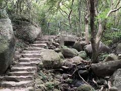 -狮子山郊野公园