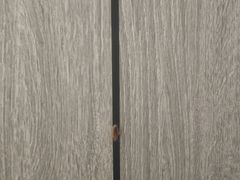 -金阁家常菜(贵阳路店)