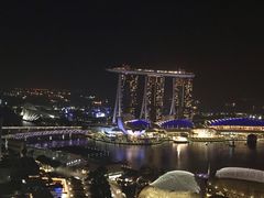 -新加坡瑞士史丹福酒店