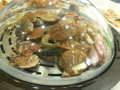 -海岸风情蒸汽海鲜自助餐厅(家宴金手勺店)