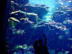 -暹罗海洋世界