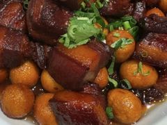 -鸽子窝(青塔店)