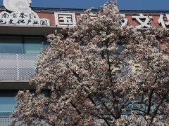 -南京晨光1865创意产业园