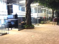 -北京圣典成人钢琴俱乐部(德思勤店)